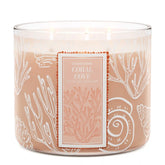 Coral Cove 3-Wick Candle