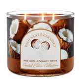Palo Santo Coconut 3-Wick Candle