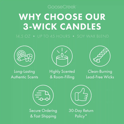 Bamboo Grove 3-Wick Candle