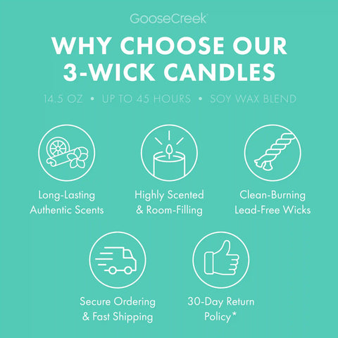 Beach Bum Daiquiri 3-Wick Candle