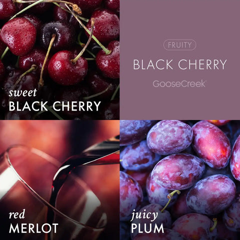 Black Cherry Lush Foaming Hand Soap
