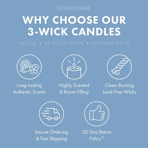 Blueberry Cheesecake 3-Wick Candle