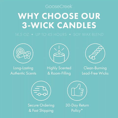 Blueberry Limeade 3-Wick Candle