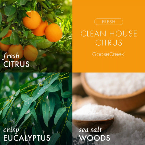 Clean House Citrus 3-Wick Candle