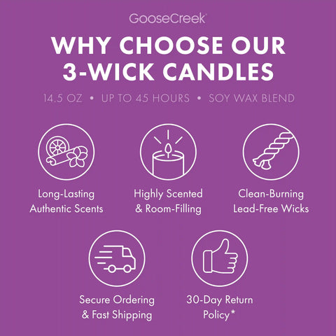 Coconut Beachwood 3-Wick Candle