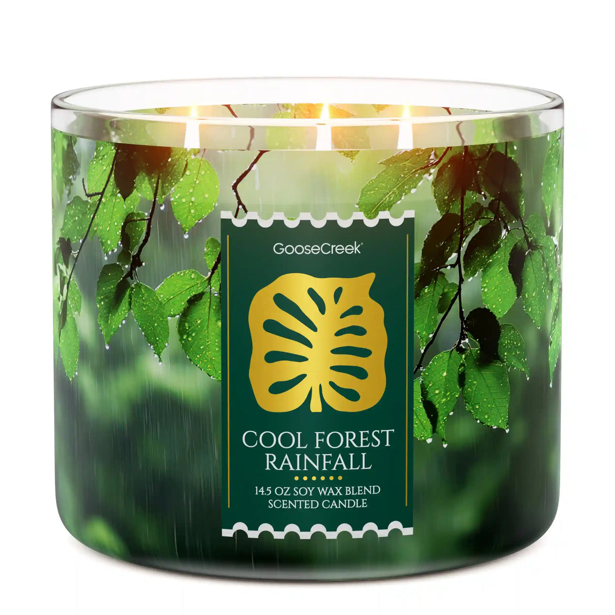 Cool Forest Rainfall 3-Wick Candle