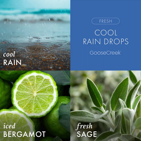 Cool Rain Drops Odor Eliminating Plug-in Refill