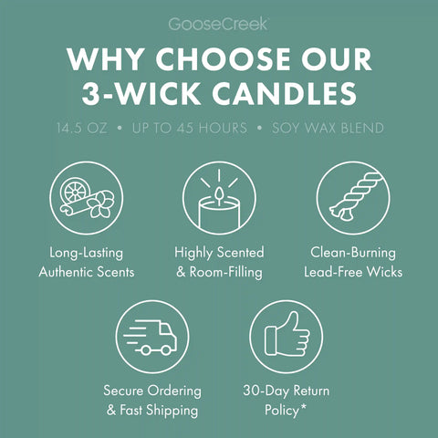 Dewy Rainforest 3-Wick Candle