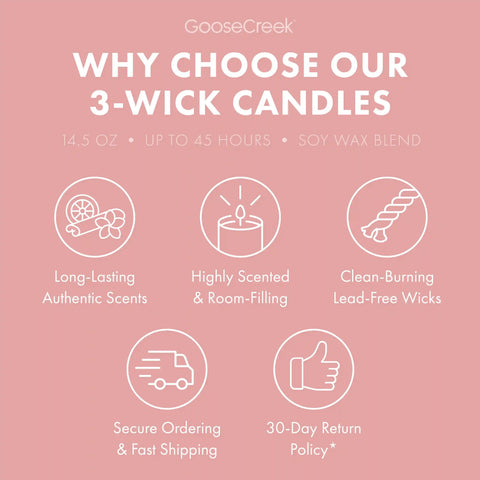 Dragonfruit Splash 3-Wick Candle
