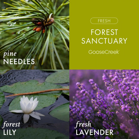 Forest Sanctuary 3-Wick Candle