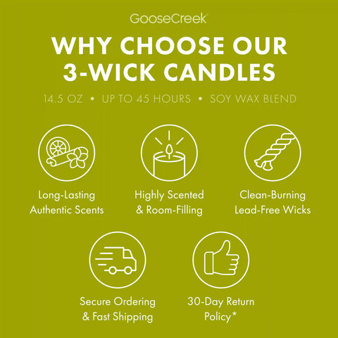 Forest Sanctuary 3-Wick Candle