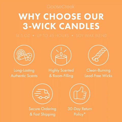 Georgia Peach 3-Wick Candle