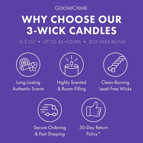 Girl Scouts Coconut Caramel 3-Wick Candle