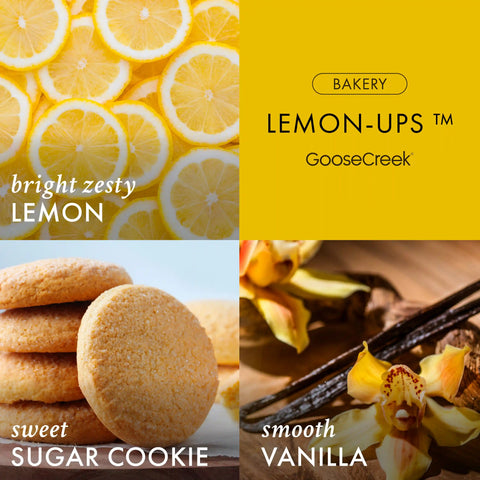 Girl Scouts Lemon-Ups ™ 3-Wick Candle
