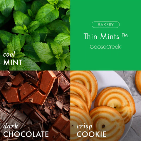Girl Scouts Thin Mints™  3-Wick Candle