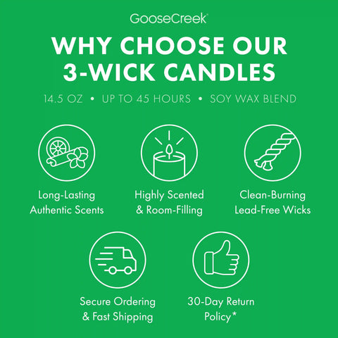 Girl Scouts Thin Mints™  3-Wick Candle
