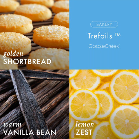 Girl Scouts Trefoils™ 3-Wick Candle