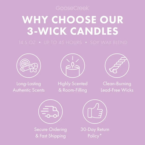 Grape Soda 3-Wick Candle