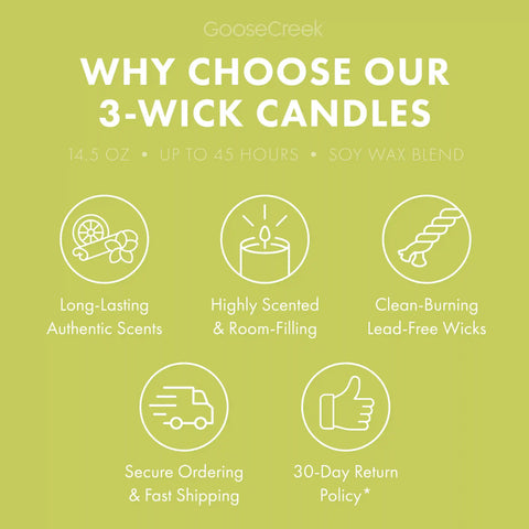 Honeydew Melon 3-Wick Candle