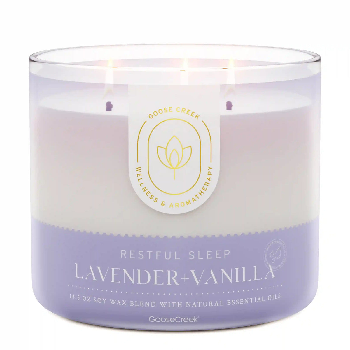 Lavender & Vanilla Aromatherapy 3-Wick Candle