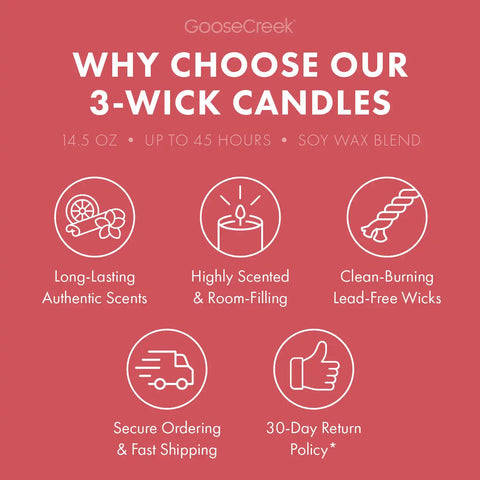 Macintosh Apple 3-Wick Candle