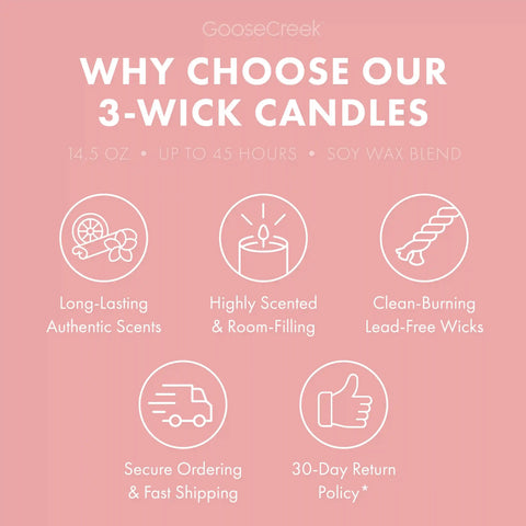 Macintosh Apple 3-Wick Candle
