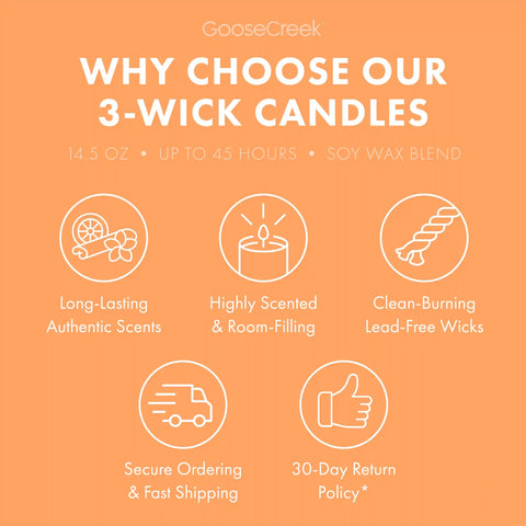 Mango Spritz 3-Wick Candle