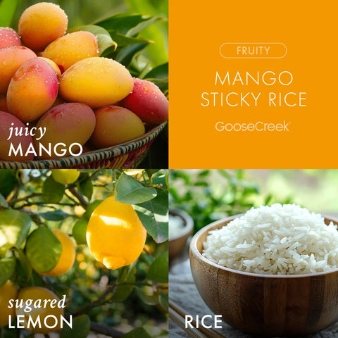 Mango Sticky Rice 3-Wick Candle