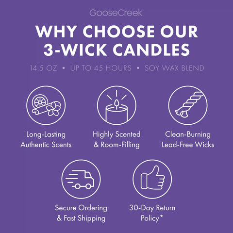 Oasis Fern 3-Wick Candle