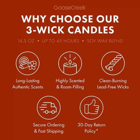 Palo Santo Coconut 3-Wick Candle
