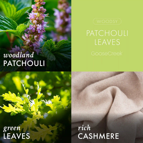 Patchouli Leaves 3-Wick Candle