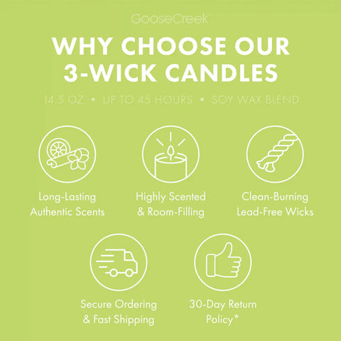 Patchouli Leaves 3-Wick Candle