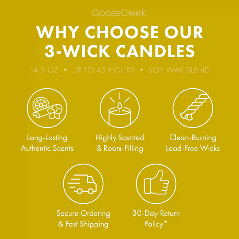Pina Colada 3-Wick Candle