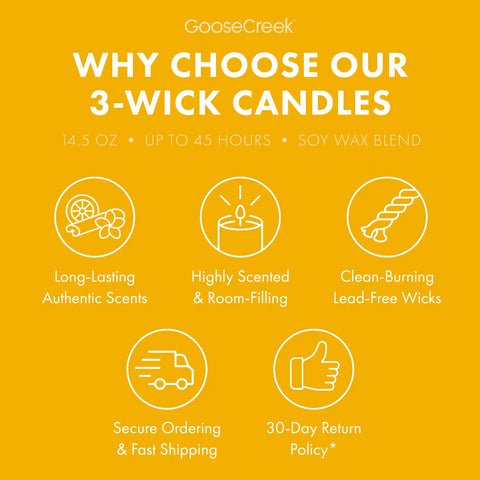 Pineapple Ice Cream Cone 3-Wick Candle