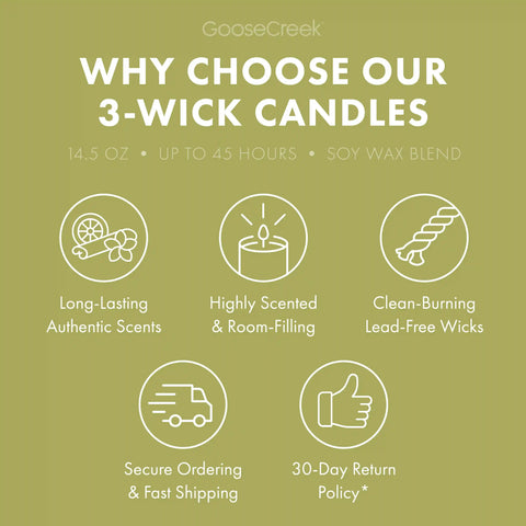 Pistachio Ice Cream 3-Wick Candle