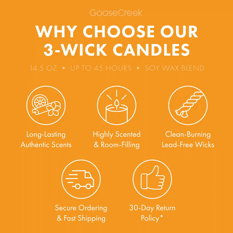 Tangerine Coast 3-Wick Candle