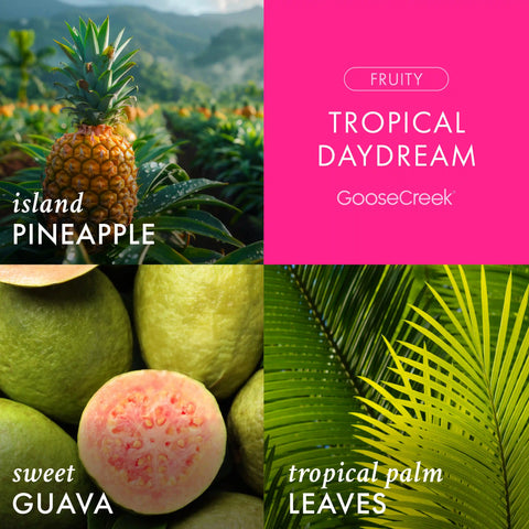 Tropical Daydream 3-Wick Candle