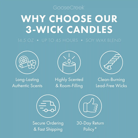 Waves & Wanderlust 3-Wick Candle