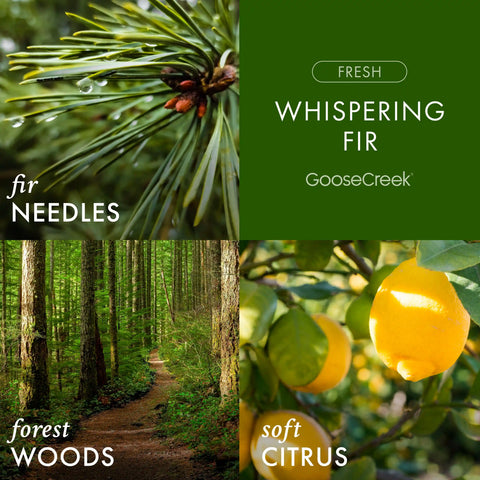 Whispering Fir 3-Wick Candle