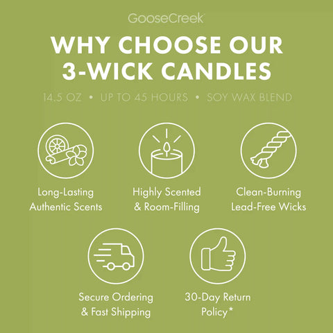 Wild Green Apple Odor Eliminating 3-Wick Candle