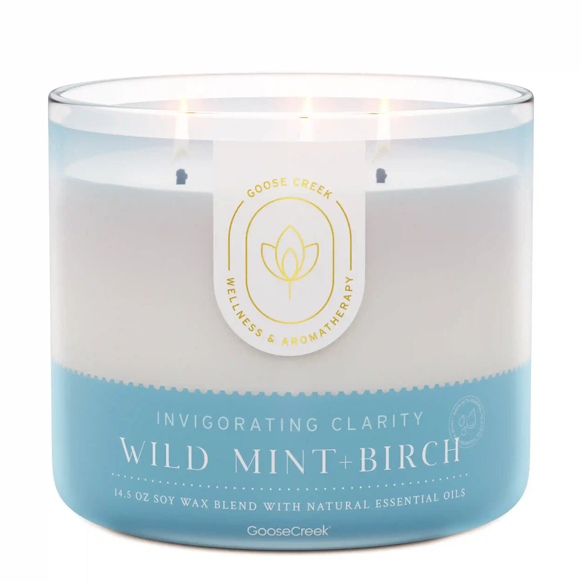 Wild Mint & Birch Aromatherapy 3-Wick Candle