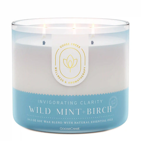 Wild Mint & Birch Aromatherapy 3-Wick Candle
